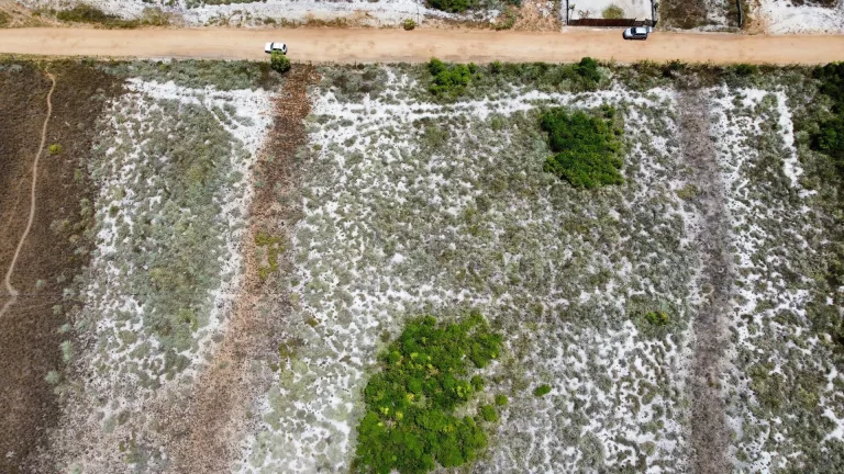 Imagem LOTES EM JORGE LEITE - OPORTUNIDADE
