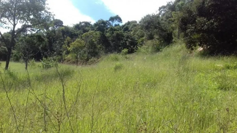 Imagem Terreno à Venda, 20.000 m² em Jardim Brasília - São Roque