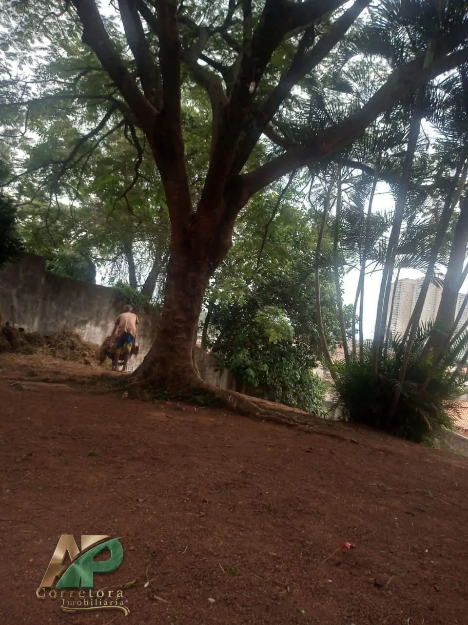 Imagem OPORTUNIDADE RARA: TERRENO COM 1.033 m² PERTO DO METRÔ VILA SÔNIA!