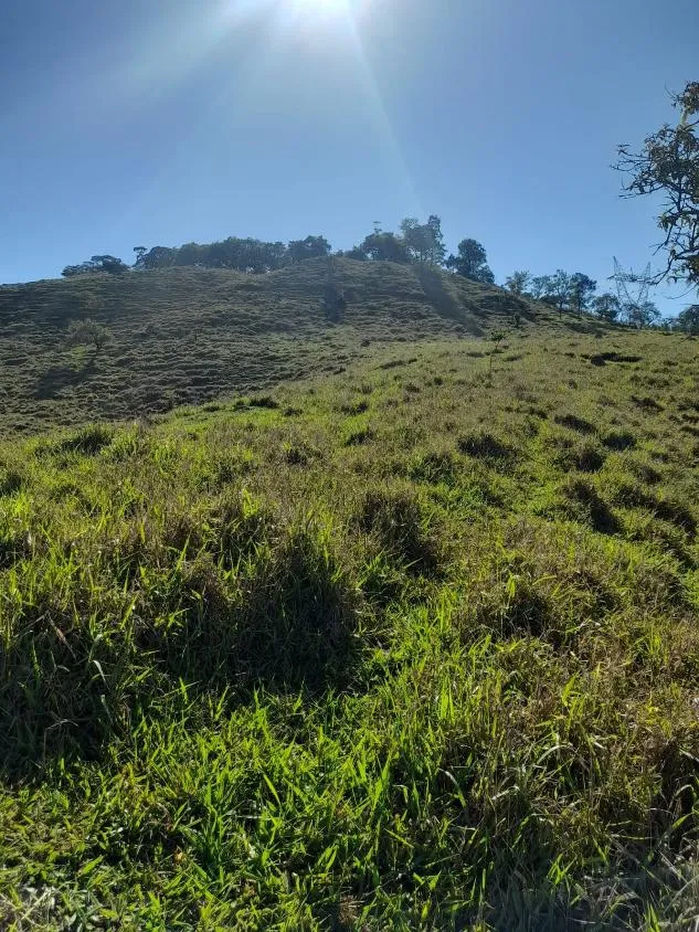 Imagem Vendo excelente sítio em Bonfim/MG ,com 9 hectares de área total (90.000 m²),