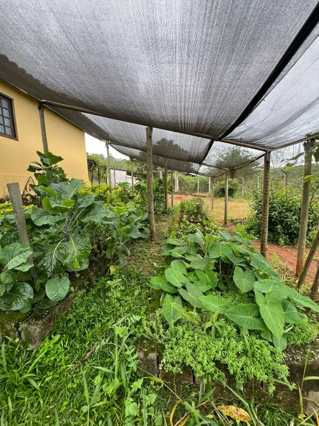 Imagem SÍTIO À VENDA EM ITATIAIUÇU/MG - Área total de 40.000 m² (4 hectares) .