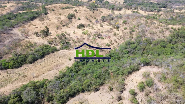 Imagem Fazenda 19 Alqs para Cria em Hidrolândia/GO