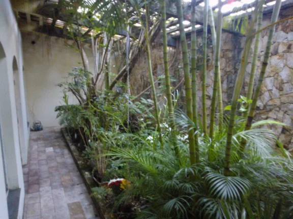 Imagem EXCELENTE CHÁCARA 4.770 m² PARA VENDA NA FIGUEIRA BRANCA - CAMPO LIMPO PAULISTA SP