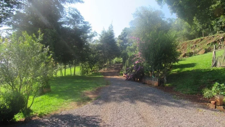 Imagem Área Agrícola para Venda em Concórdia, Interior