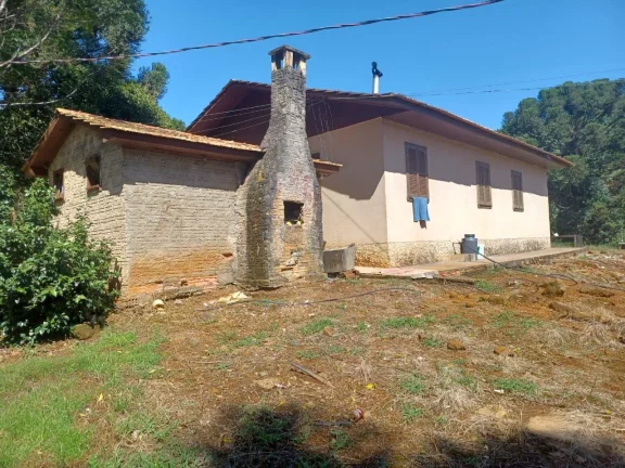 Imagem Área Agrícola para Venda em Concórdia, Interior