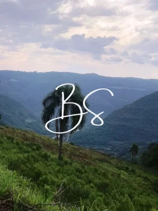 Imagem SITIO RURAL em NOVA PETRÓPOLIS - RS, Linha Pirajá Baixa