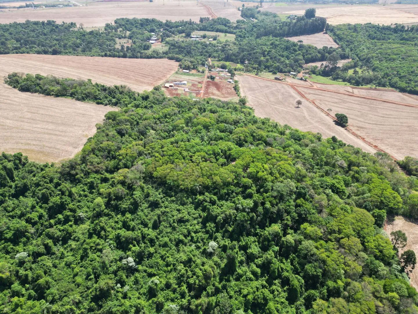 Imagem Chácara a venda em Cascavel, com 2,0992 hectare cada uma e matrícula indiviauais.