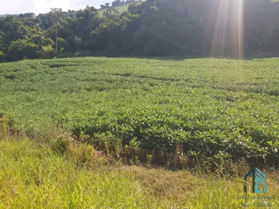 Imagem Sítio com 121.000 mil m² a venda, com Infra estrutura, no IRETEMA /Campo Mourão PR