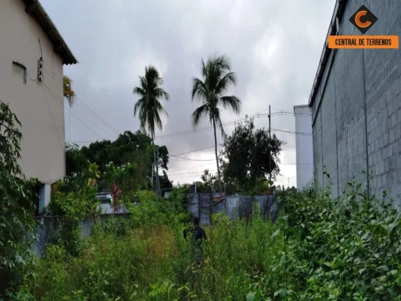 Imagem TERRENO PRÓXIMO AO BOSQUE DA PAZ