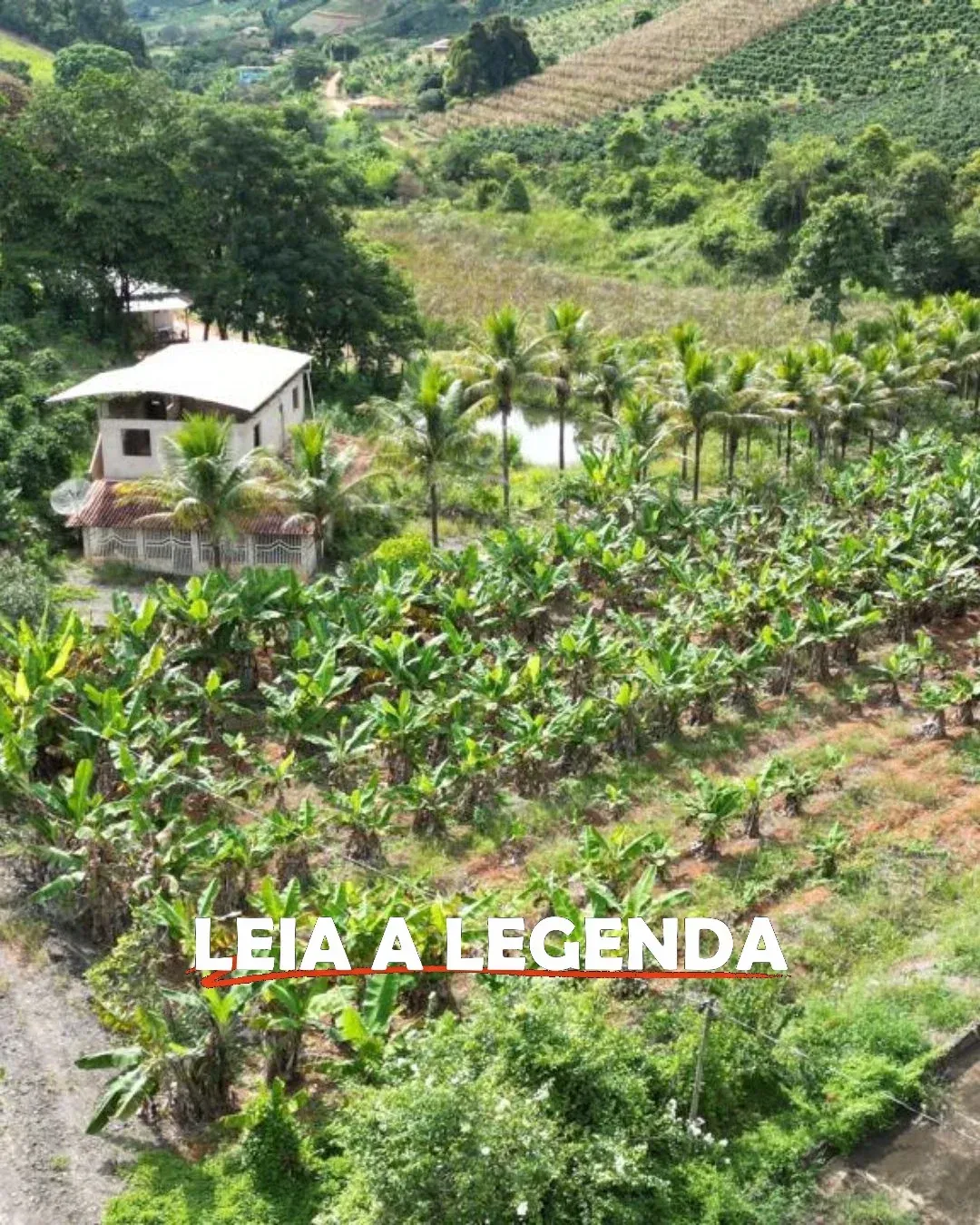 Imagem Imóvel