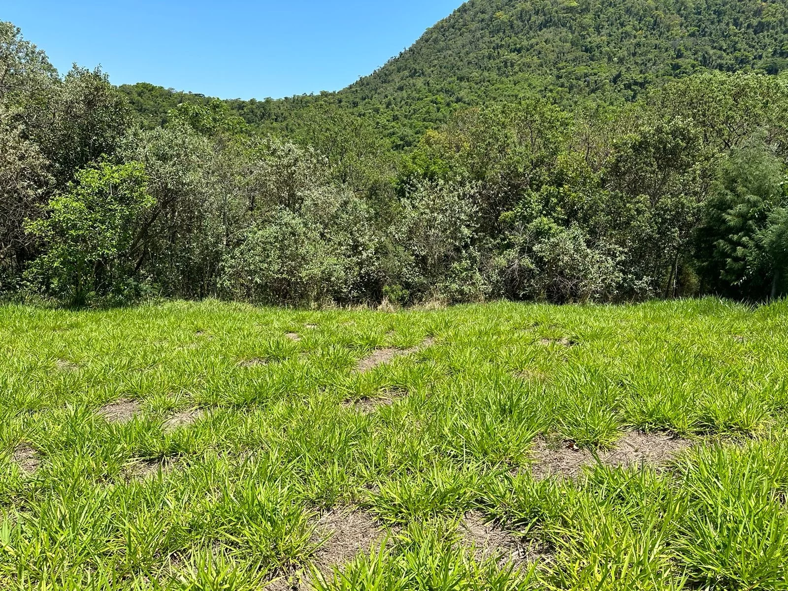 Imagem Terreno à venda Condomínio Fechado em Bofete, SP