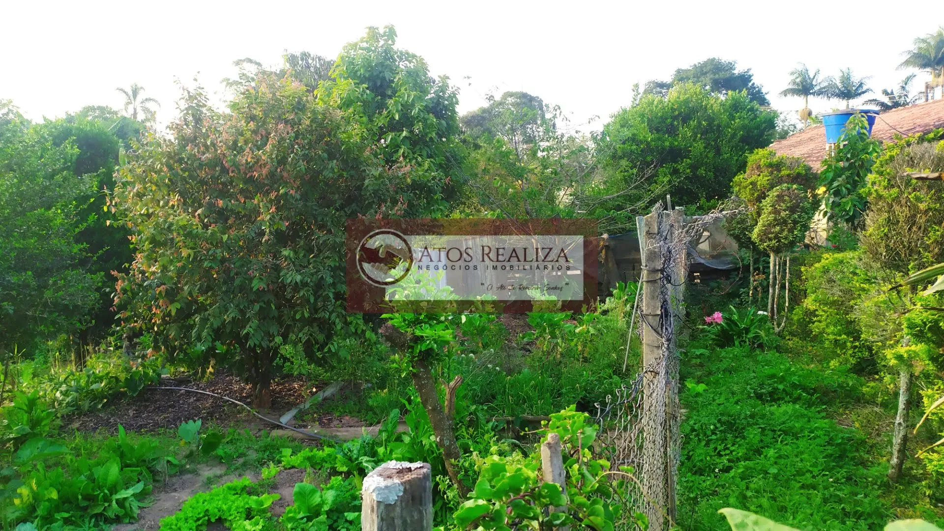 Imagem Compre Rancho/ Chácara em Jardim Santa Tereza - São Paulo