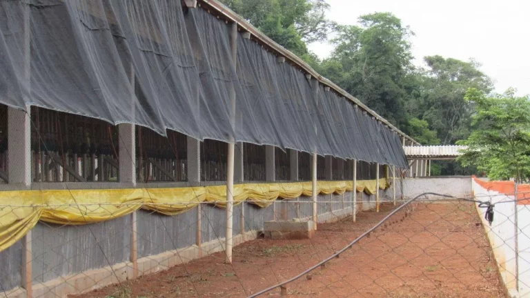 Imagem Área Agrícola para Venda em Peritiba, Lageado Mirim