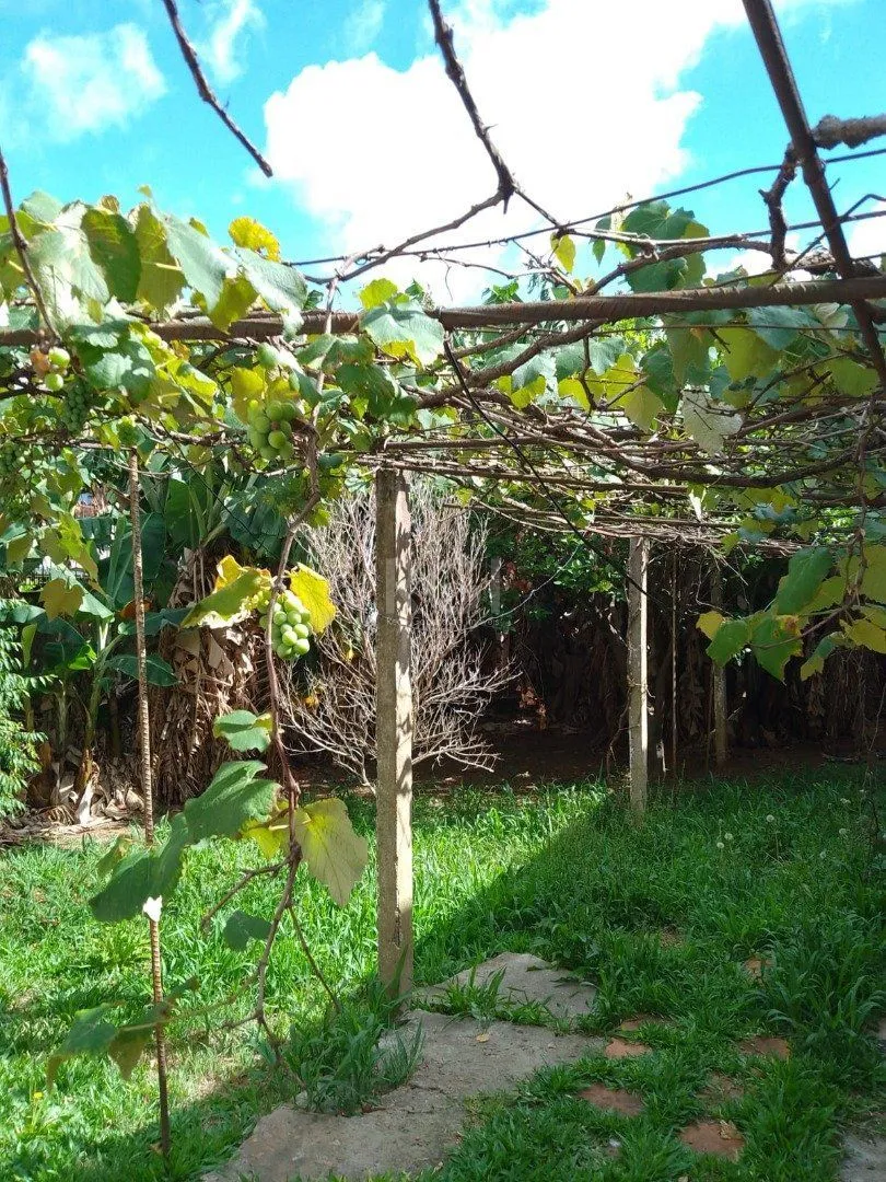 Imagem Casa em Nonoai