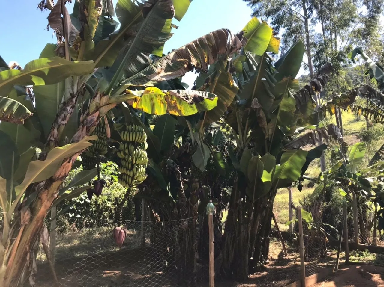 Foto do imóvel Chácara à venda 4 Quartos, 5 Vagas, Santa Luzia Rural, Taubaté - SP