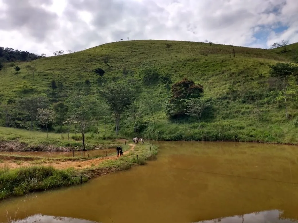 Imagem Chácara à venda 2 Quartos, 135000M², Zona Rural, Piquete - SP