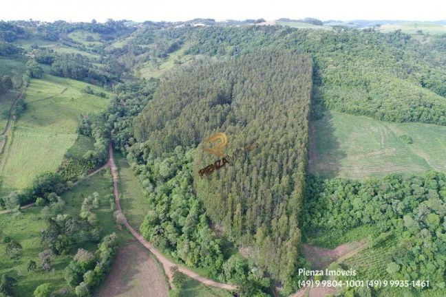 Imagem Terreno para Venda em Concórdia, Planalto