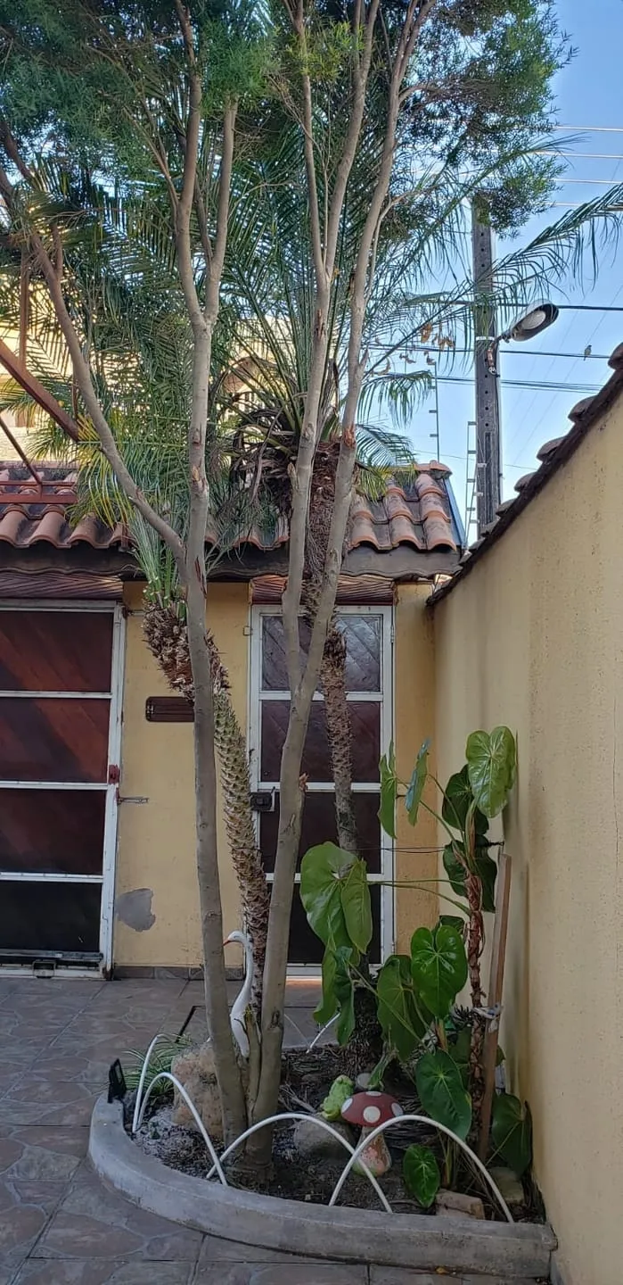 Foto do imóvel Casa à venda 3 Quartos, 1 Suite, 2 Vagas, 250M², Jardim da Luz, Taubaté - SP