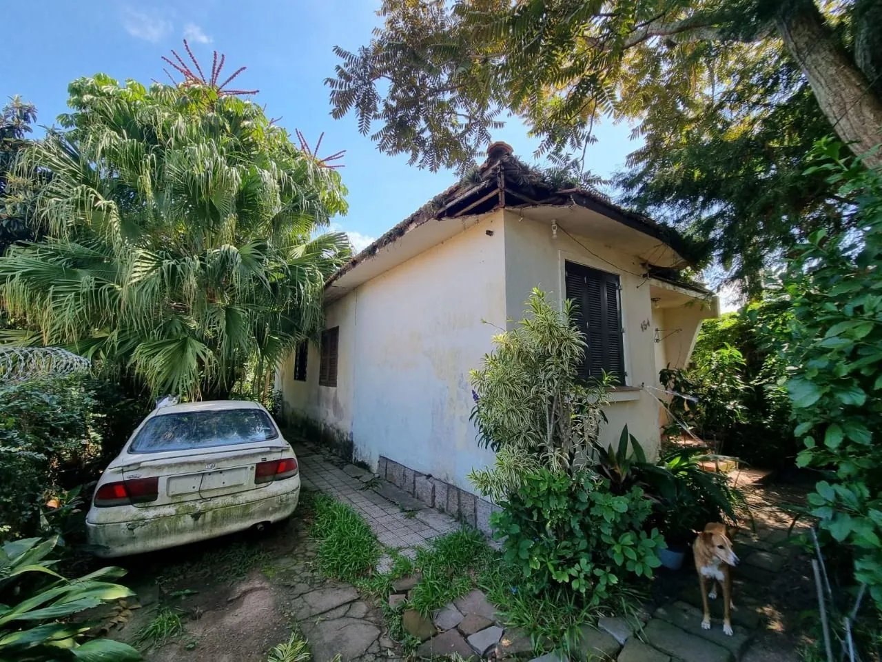 Imagem Terreno Plano 435m² Ipanema Proximo Guaíba