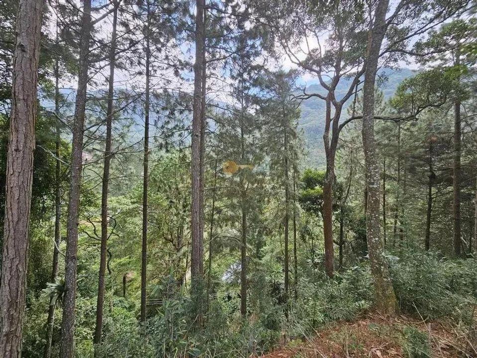 Imagem Terreno para Venda em Teresópolis / RJ no bairro Cascata dos Amores
