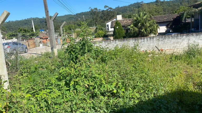 Imagem Terreno à Venda, 533 m² em Wosocris - Criciúma