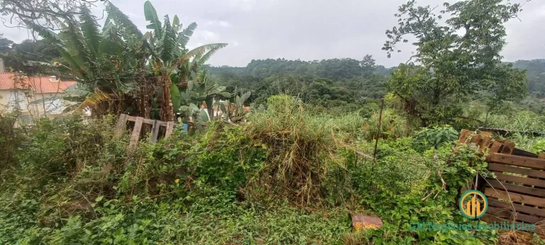 Imagem Área a venda 3600m2 para residencial, comercial ou industrial ótima localiz