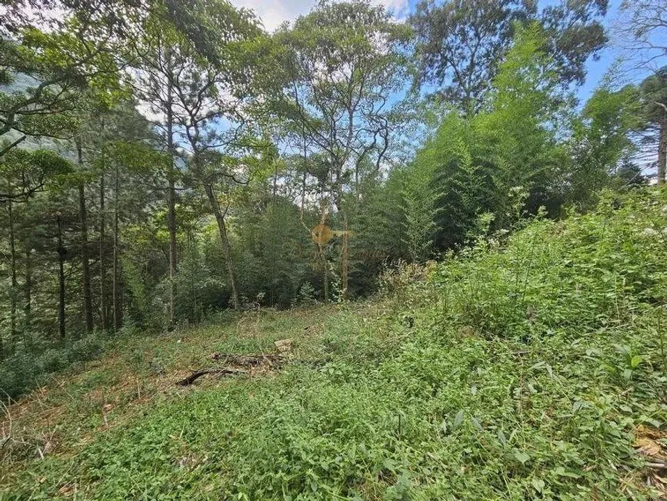 Imagem Terreno para Venda em Teresópolis / RJ no bairro Cascata dos Amores