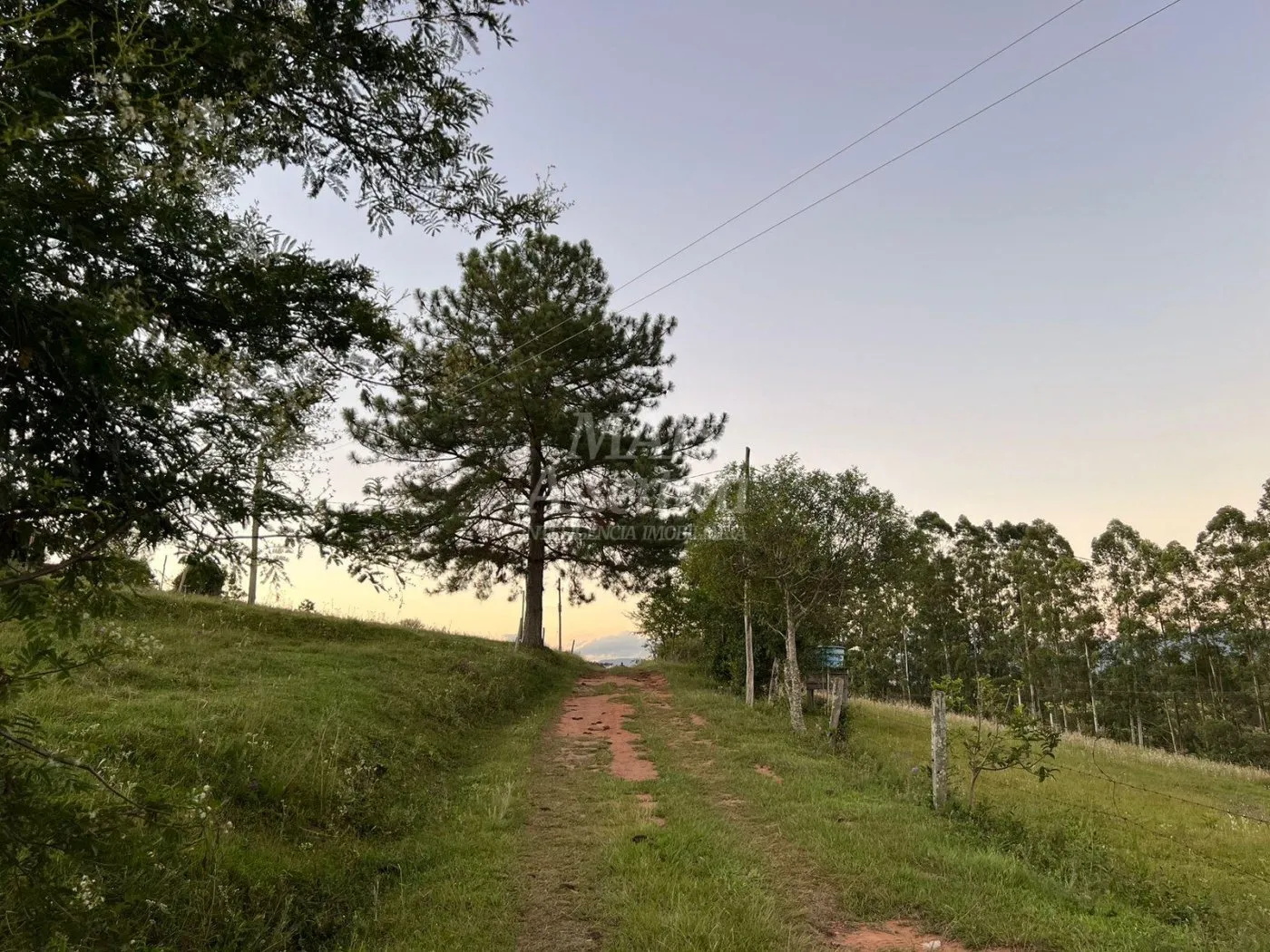 Imagem Chácara de 10 hectares para venda em Lomba Grande, Novo Hamburgo