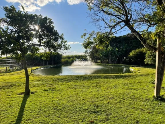 Imagem Chácara à venda na Área Rural de Uberaba - Ótima oportunidade!