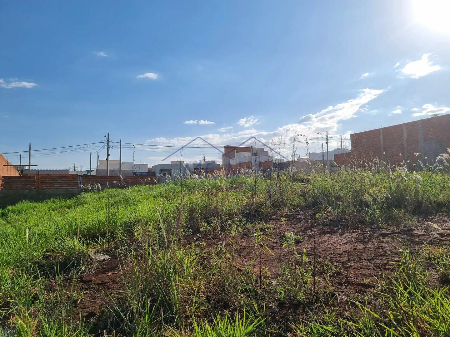 Imagem Terreno Padrão