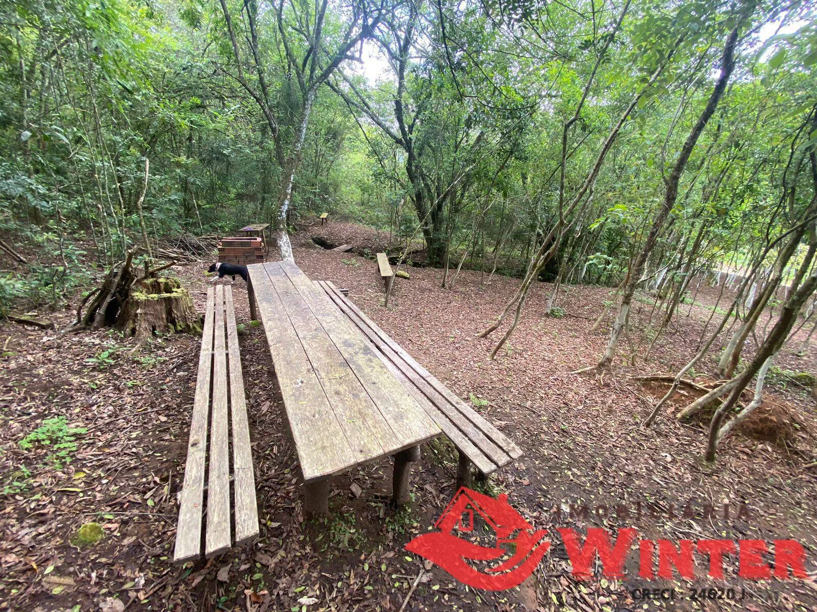 Imagem Área de terras com 6,3 hectares em São Roque, Feliz.