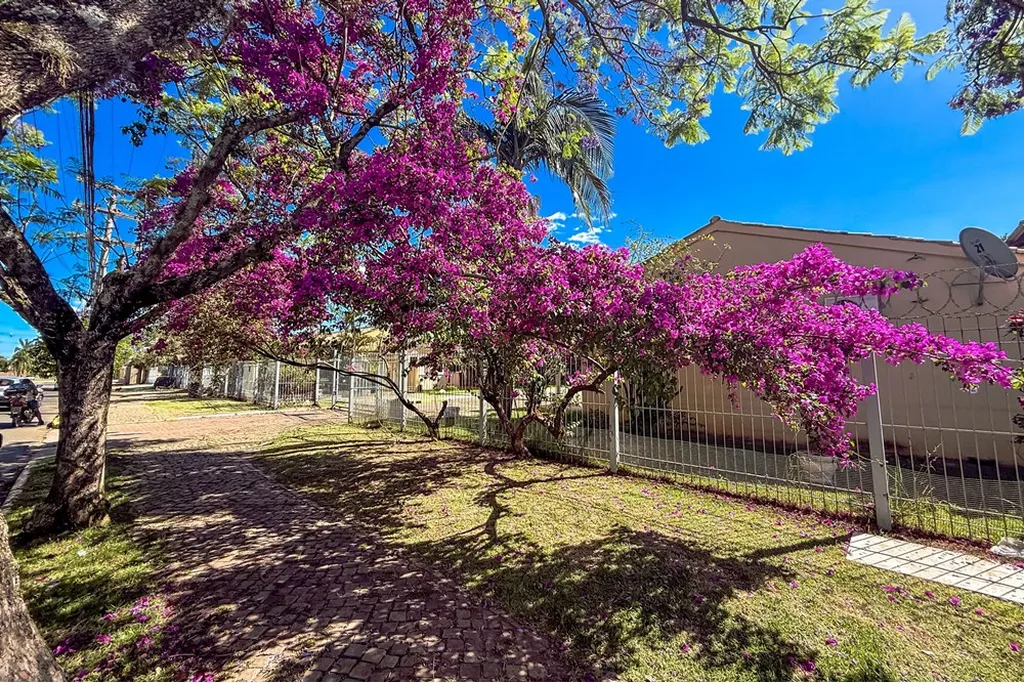 Imagem Casa de Condomínio em Rio Branco