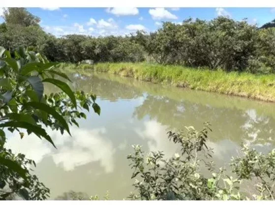 Foto do imóvel Sítio a VENDA, BAURU/SP, 05 alqueires em Área Rural