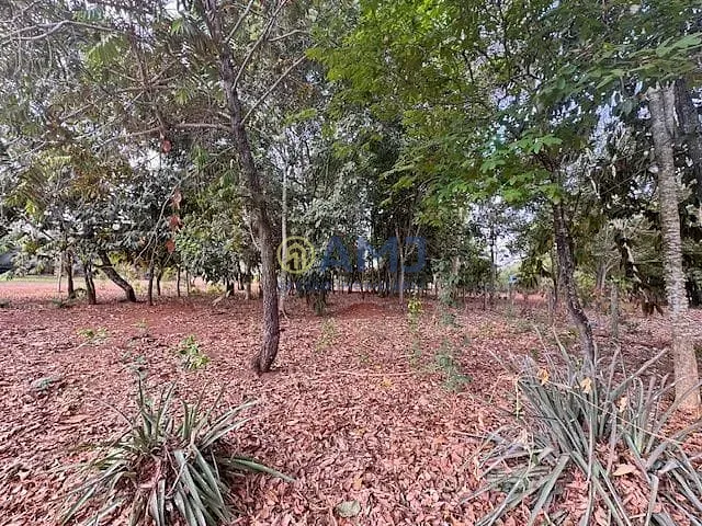 Imagem Terreno no Condomínio de Chácaras Countryville - Hidrolândia/GO