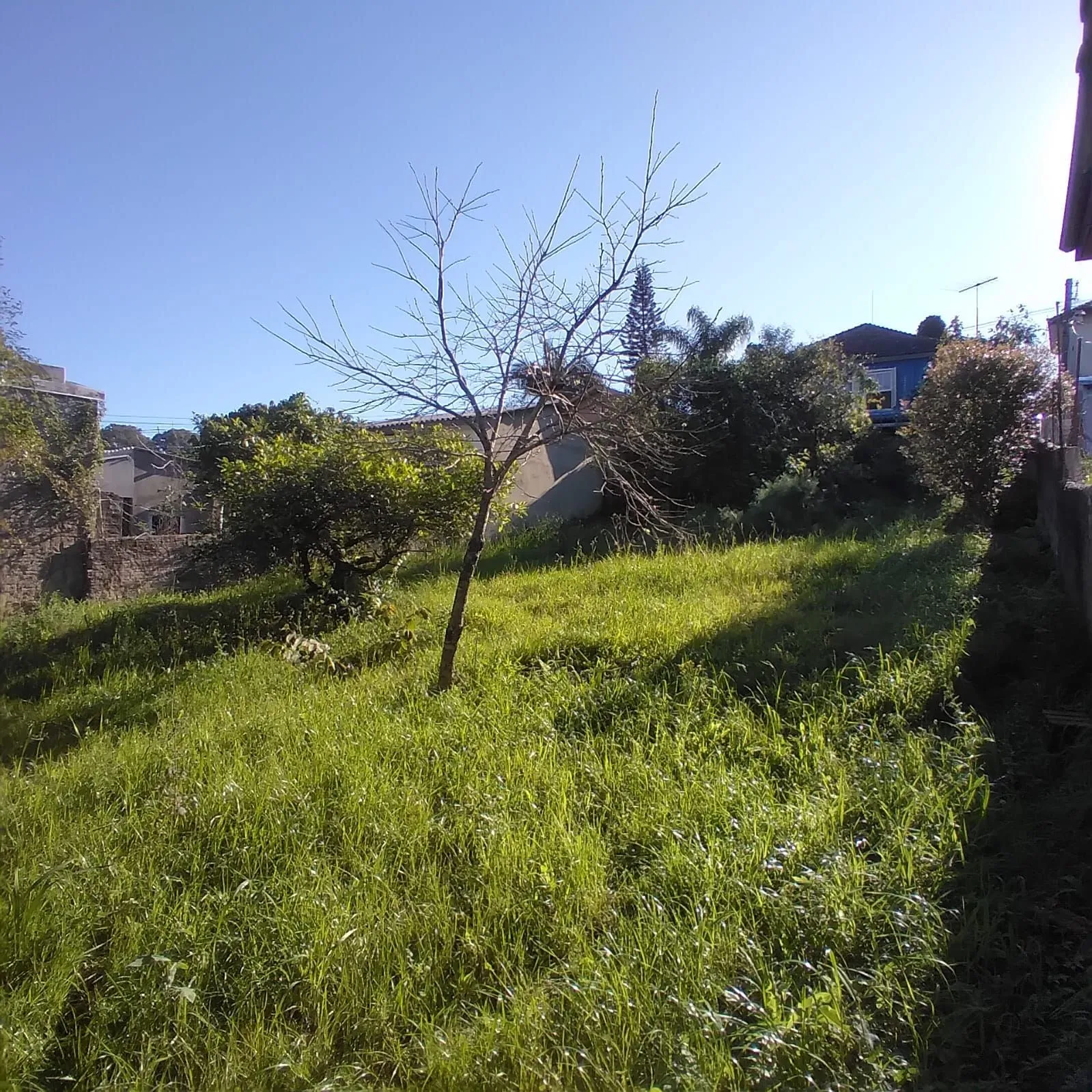 Imagem EXCELENTE TERRENO EM BELÉM VELHO