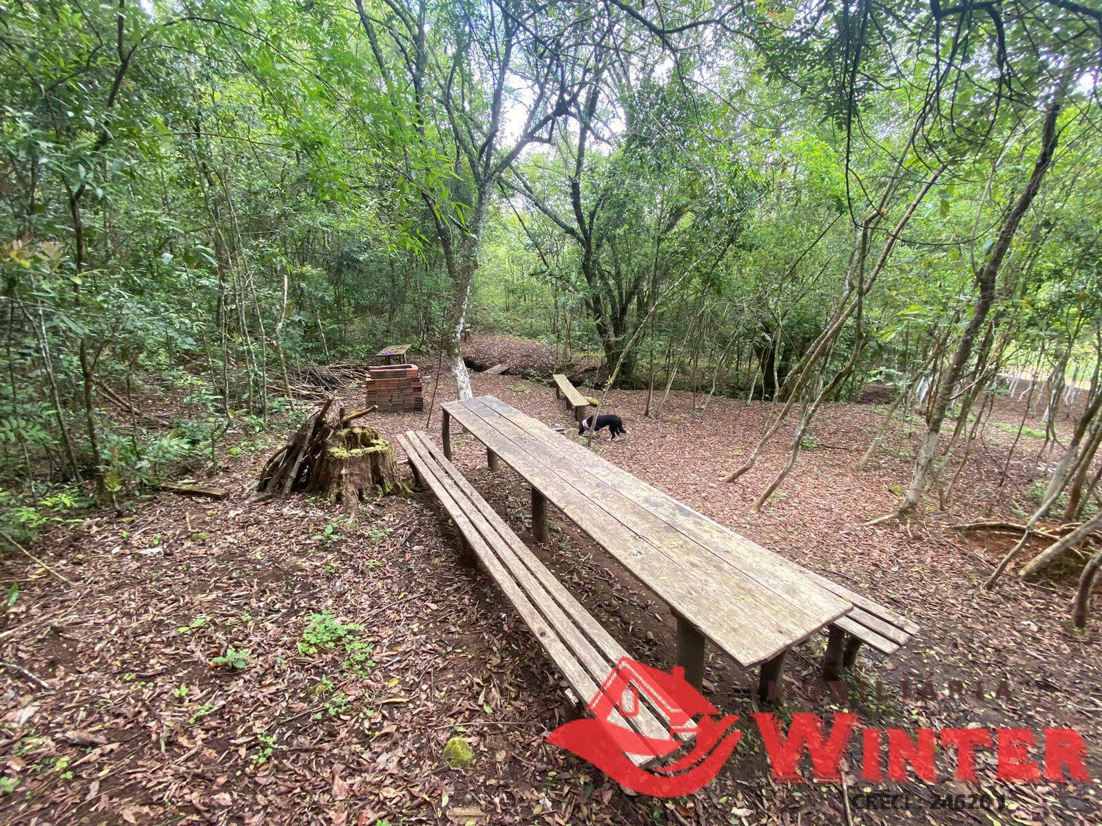 Imagem Área de terras com 6,3 hectares em São Roque, Feliz.