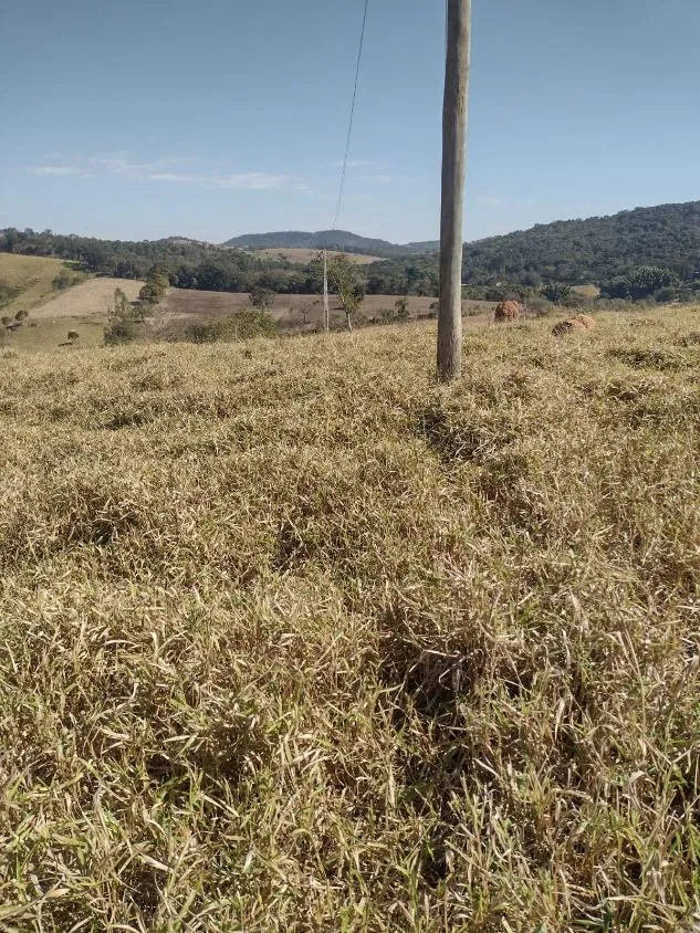 Imagem Terreno à Venda em Crucilândia 3 Hectares de terra