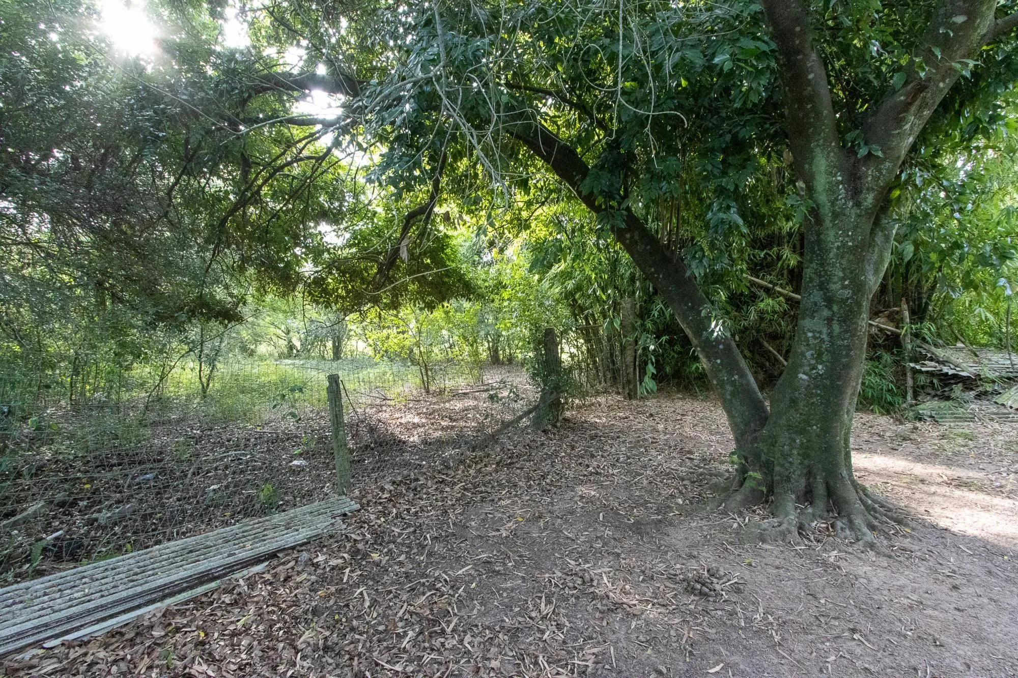 Imagem Área medindo 33.426m²!