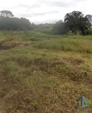 Imagem Terreno 11.559 M2, OPORTUNIDADE ÚNICA, bem localizado no Sitio Cercado em Curitiba PR