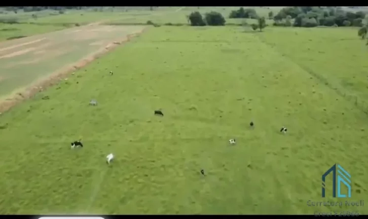Imagem Terreno 50.000 mil m2 plano a venda, próximo ao anel viário em BIGUAÇU - SC