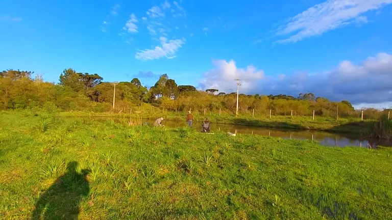 Imagem Chácara para Venda em Tijucas do Sul, Ambrósio