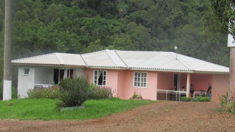 Imagem Área Agrícola para Venda em Três Arroios, Rural