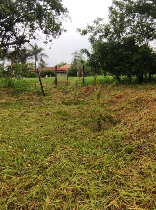 Imagem Sítio de alqueires 1.2 na Prata em Aracatuba tem opção de 4. 5 e de 2.4 alq