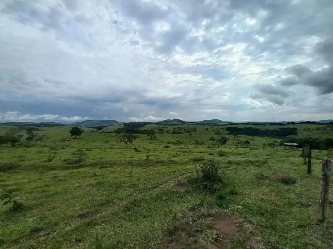Imagem FAZENDA DE ALTO PADRÃO À VENDA - SUL DE MINAS 1.488 hectares de área total