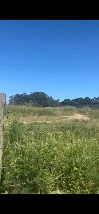 Imagem Area Terreno em NOVA ZELANDIA, CIVIT 2, SERRA
