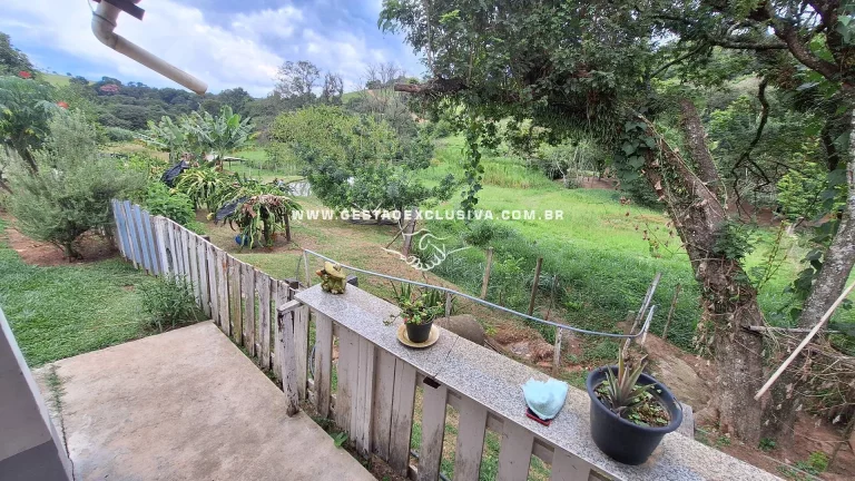 Imagem Sítio 20mil m² Documentado 4 Lagos Pomar Formado Morungaba/SP