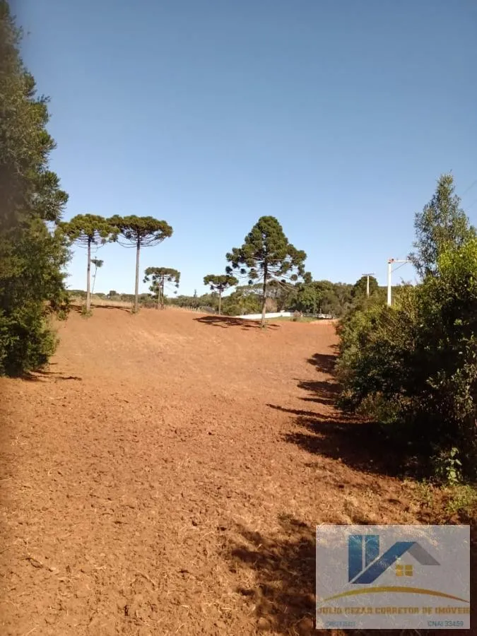 Imagem Terreno para Venda em São José dos Pinhais, Campo Largo da Roseira