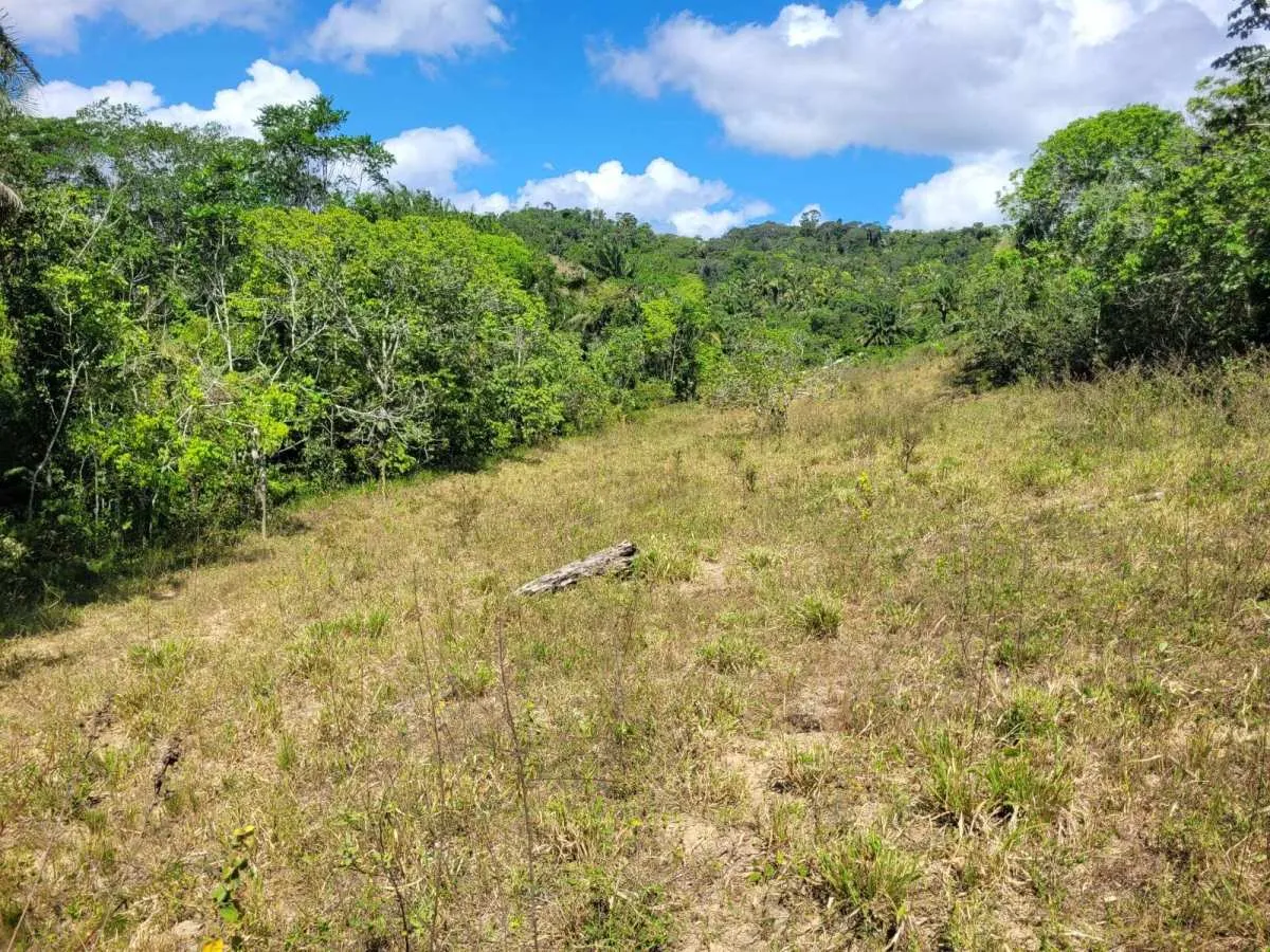 Imagem Sítio à venda em Mata de São João, com 2 quartos, 201m2m2