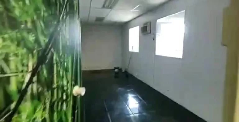 Imagem Alugo Galpão em Santo André, Casa Branca