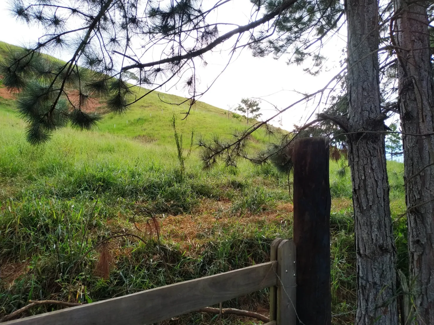 Imagem Chácara à venda 30000M², Zona Rural, Silveiras - SP